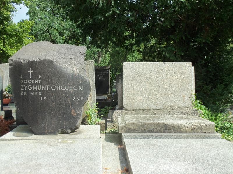 Zdjęcie grobu Zygmunt Chojecki (2)