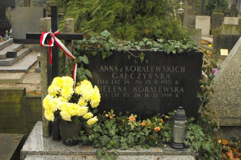 Zdjęcie grobu Ludwika Mierzewska (2)