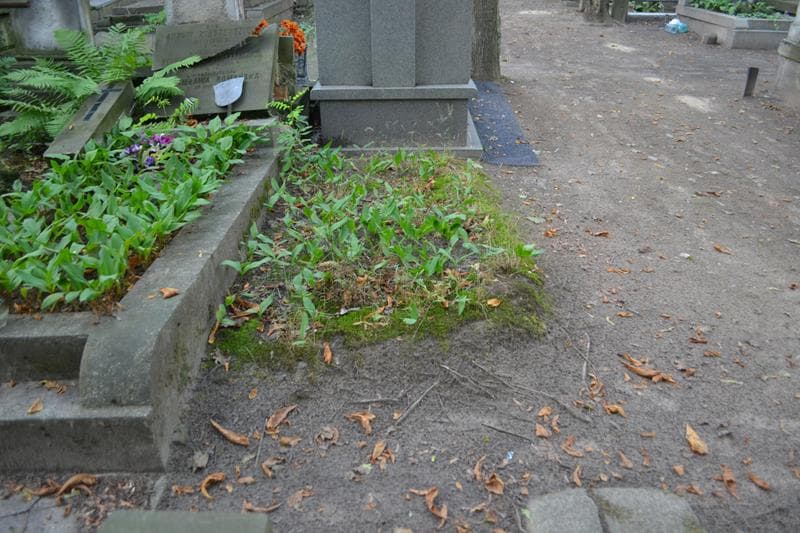 Zdjęcie grobu Pole Grobowe (1)