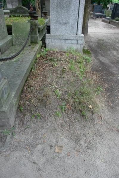 Zdjęcie grobu: Pole Grobowe