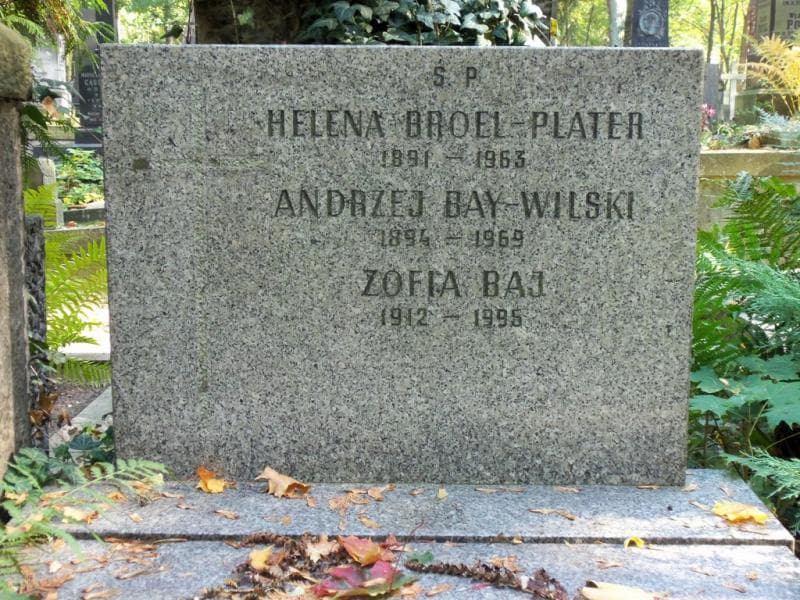 Zdjęcie grobu Zofia Baj (2)