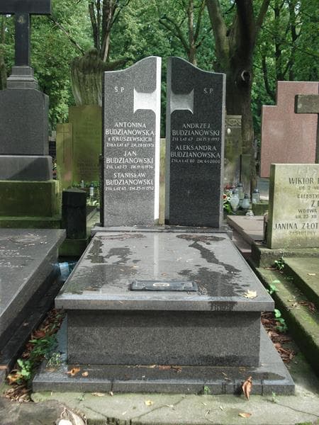 Zdjęcie grobu: Antonina Budzianowska