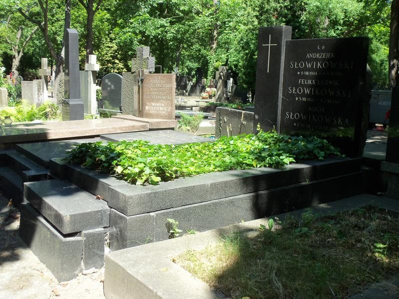 Zdjęcie grobu Feliks Ludwik Słowikowski (1)