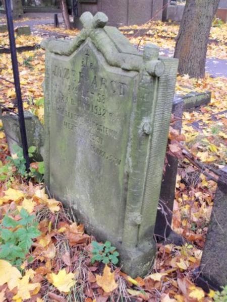 Zdjęcie grobu Józef Arct (2)