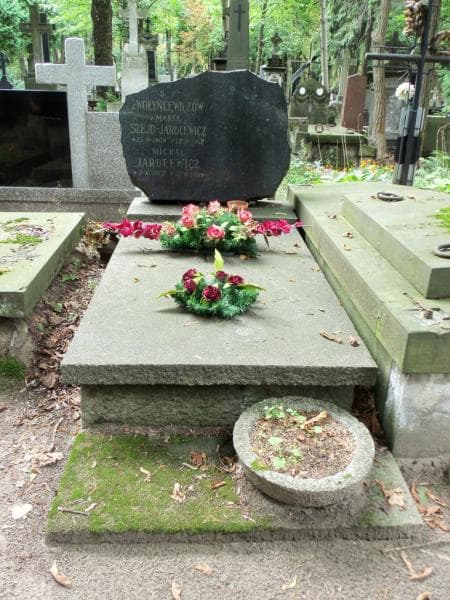Zdjęcie grobu: Michał Jarocewicz