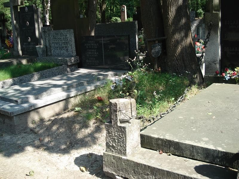 Zdjęcie grobu Tadeusz Mikułowski (1)