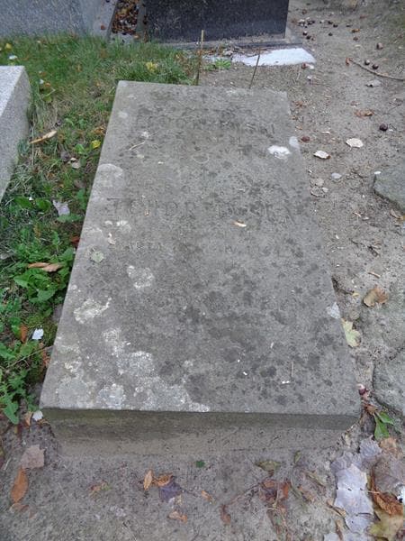 Zdjęcie grobu Józef Tchórzewski (2)