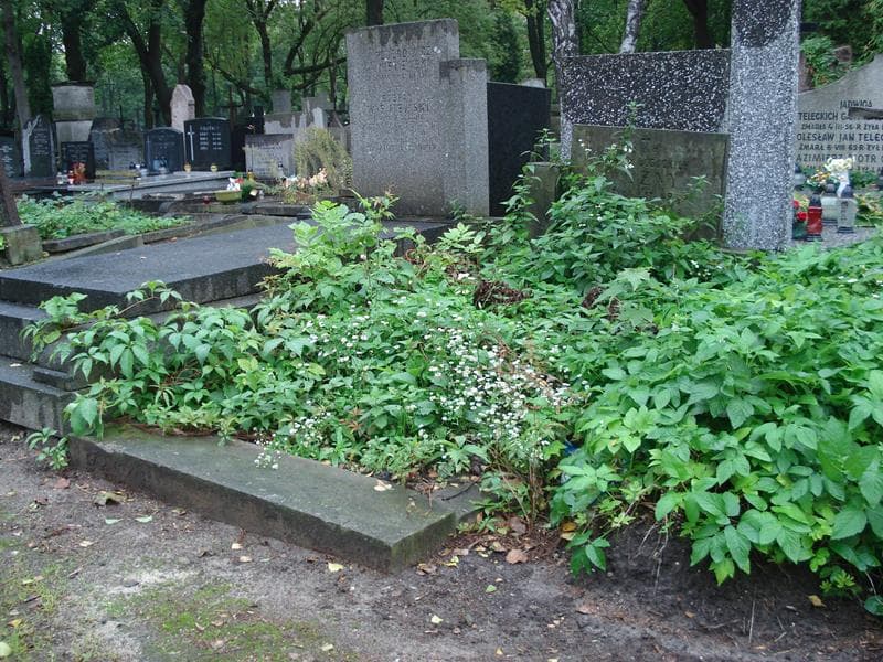 Zdjęcie grobu Alina Woźny (1)