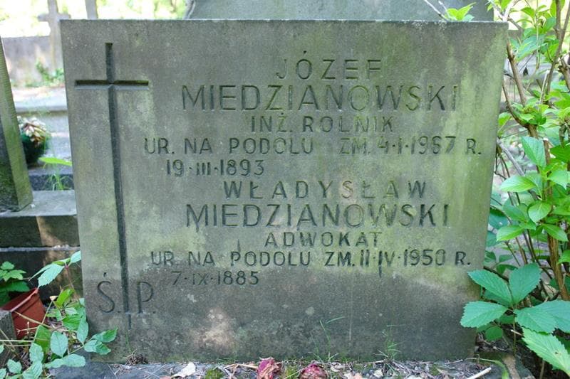 Zdjęcie grobu Józef Miedzianowski (2)