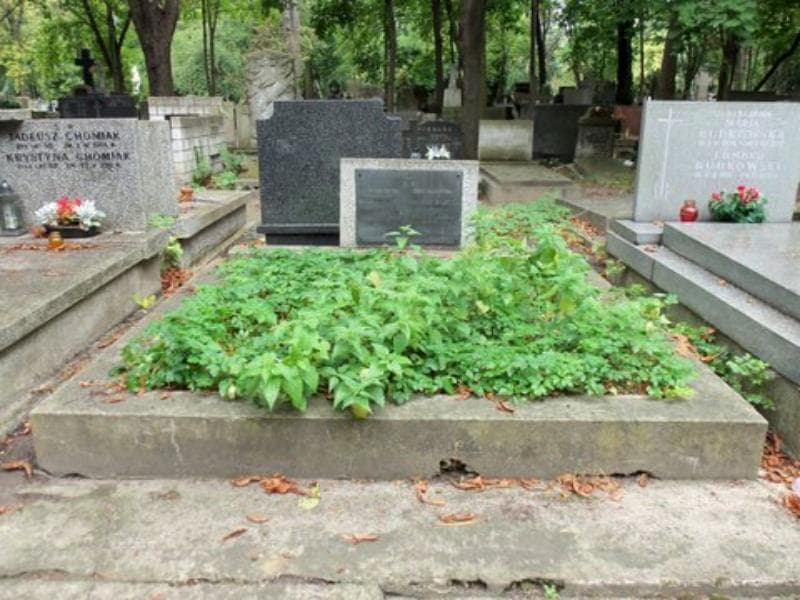 Zdjęcie grobu: Henryk Słomczyński