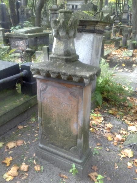 Zdjęcie grobu Antoni Machwitz (2)