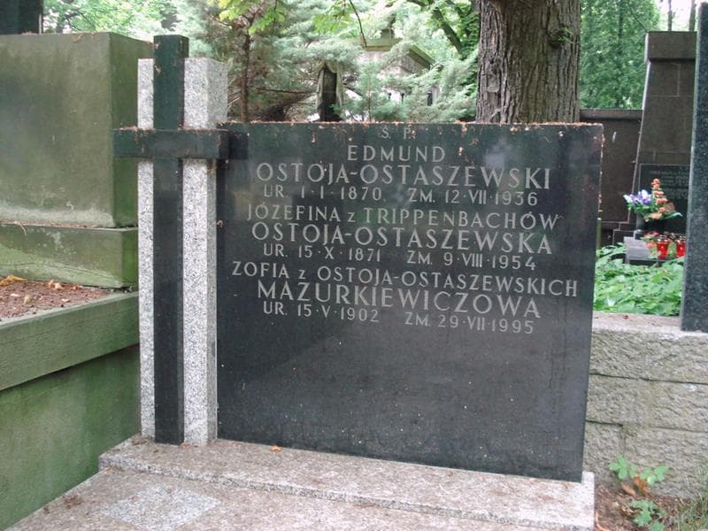 Zdjęcie grobu Edmund Ostoja-Ostaszewski (2)
