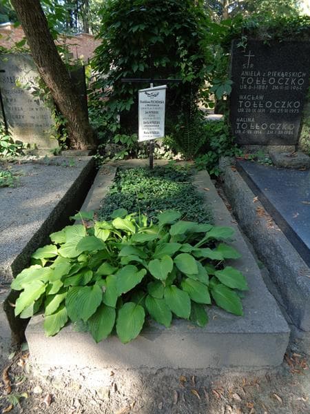 Zdjęcie grobu Maria Wysocka (1)