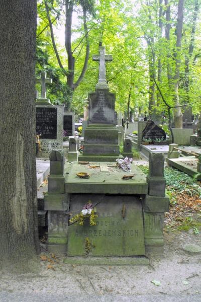 Zdjęcie grobu Marjanna Andrzejewska (1)