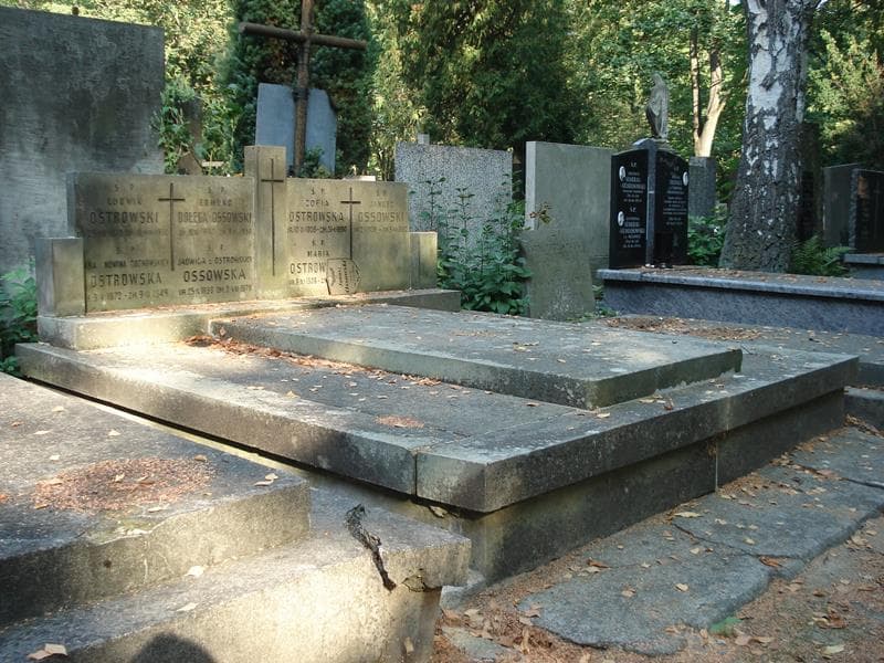 Zdjęcie grobu Edmund Dołęga-Ossowski (1)