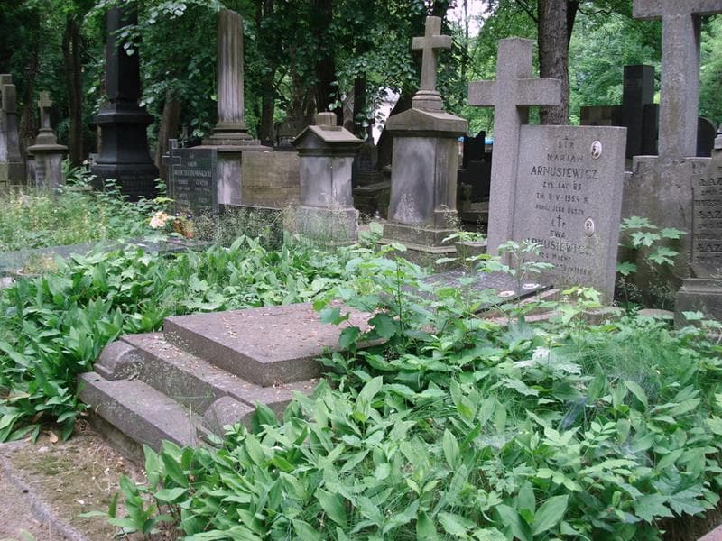 Zdjęcie grobu: Marian Arnusiewicz