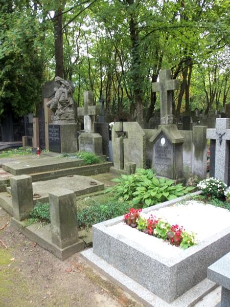 Zdjęcie grobu Władysław Domański (1)