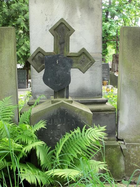 Zdjęcie grobu Juljan Janowski (2)