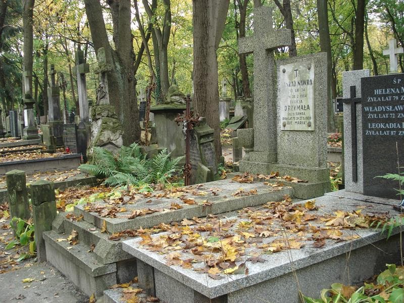 Zdjęcie grobu Edward Drzymała (1)