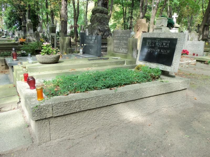 Zdjęcie grobu: Władysław Koch