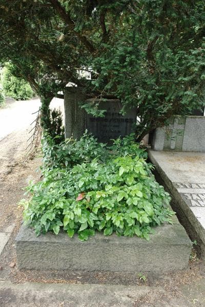 Zdjęcie grobu Witold Wołosewicz (1)