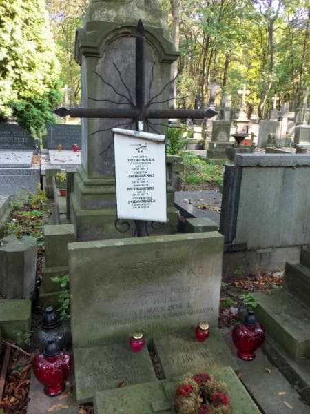 Zdjęcie grobu Karol Makowski (2)