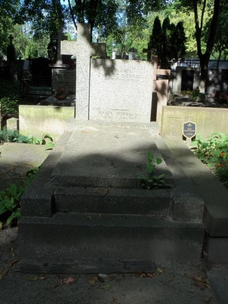 Zdjęcie grobu Bronisław Biernacki (1)