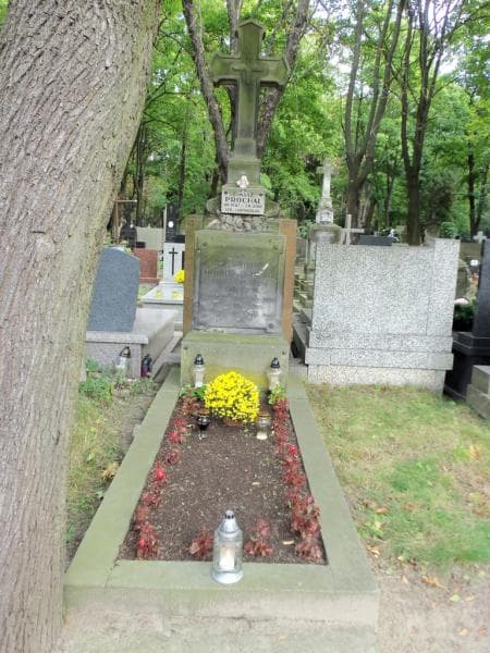 Zdjęcie grobu: Emilia Frieman