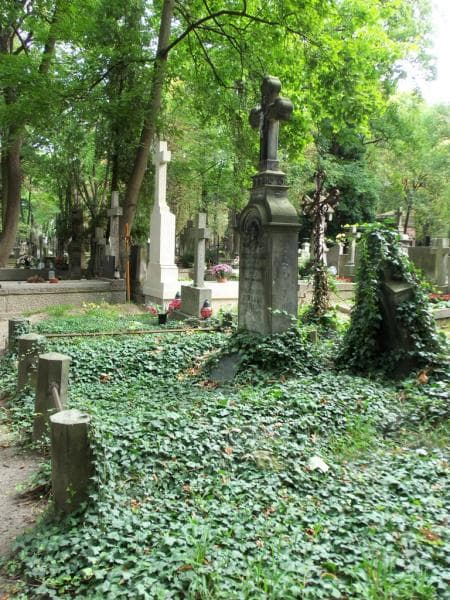 Zdjęcie grobu Agnieszka Schlade (1)