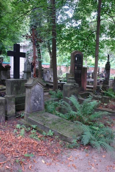Zdjęcie grobu Teodora Cieślikiewicz (1)