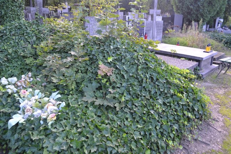 Zdjęcie grobu: Anonim