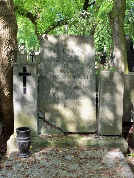 Zdjęcie grobu Henryk Grzybowski (2)