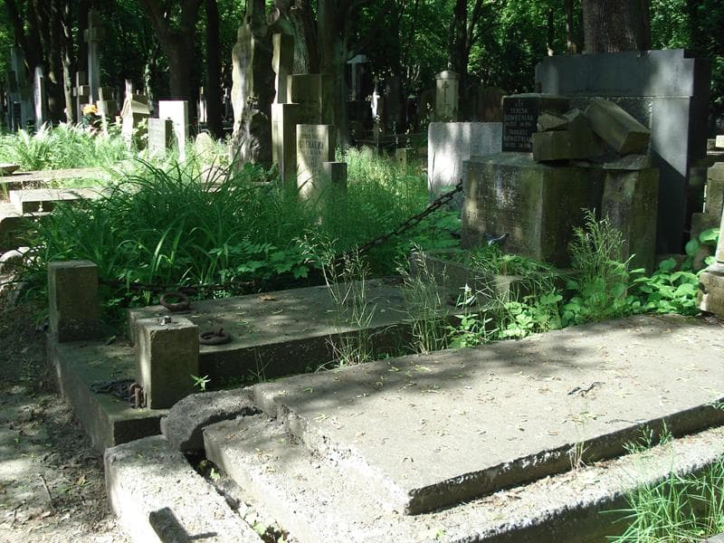 Zdjęcie grobu Tadeusz Nowotniak (1)