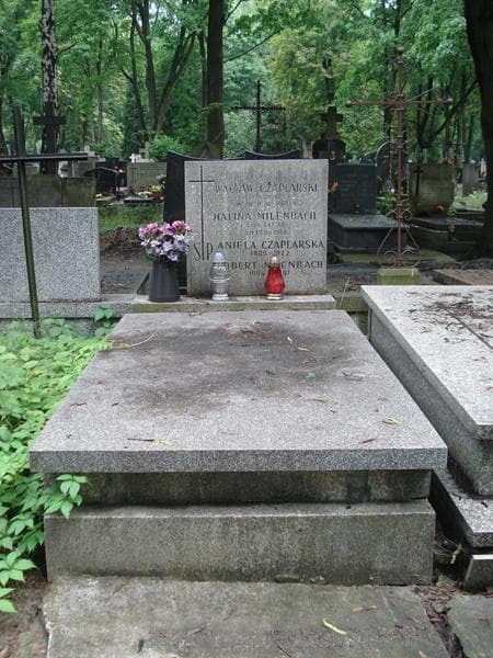 Zdjęcie grobu: Wacław Czaplarski