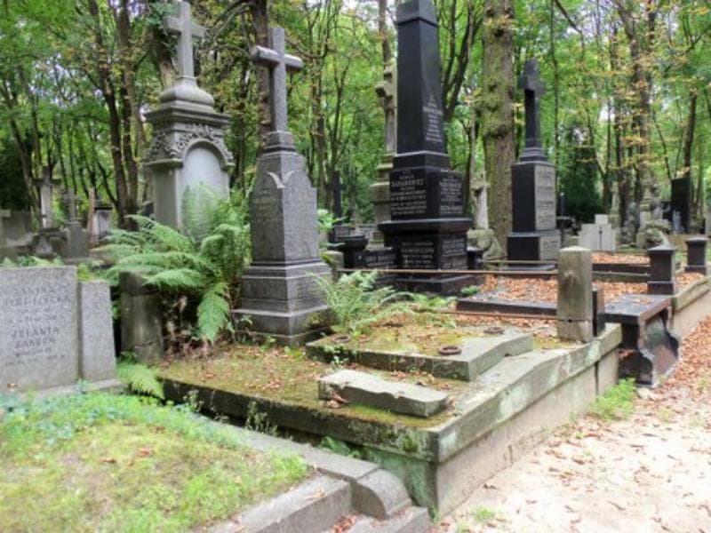 Zdjęcie grobu Romuald Kułakowski (1)
