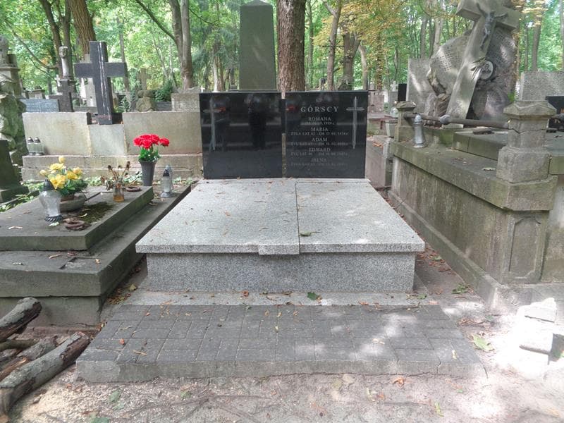 Zdjęcie grobu Romana Górska (1)