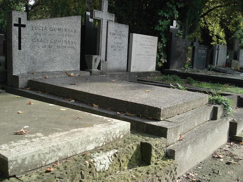 Zdjęcie grobu Ignacy Gumiński (1)