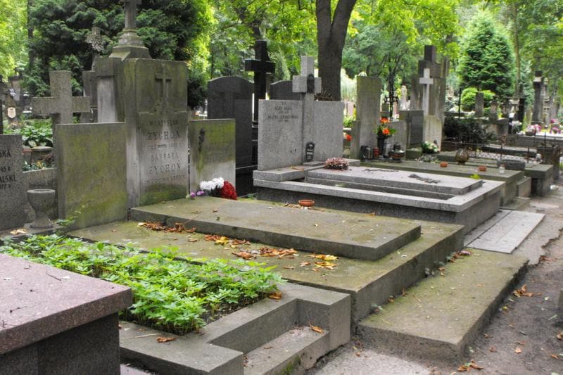 Zdjęcie grobu Władysław Żychoń (2)