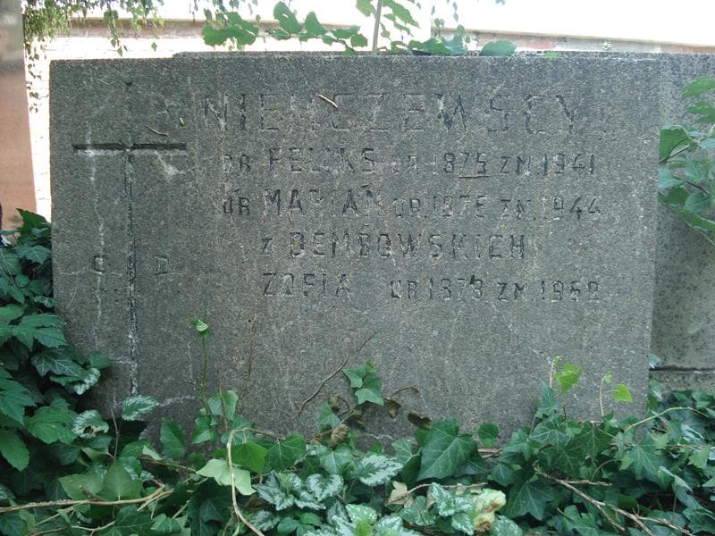 Zdjęcie grobu Zofia Niemczewska (2)