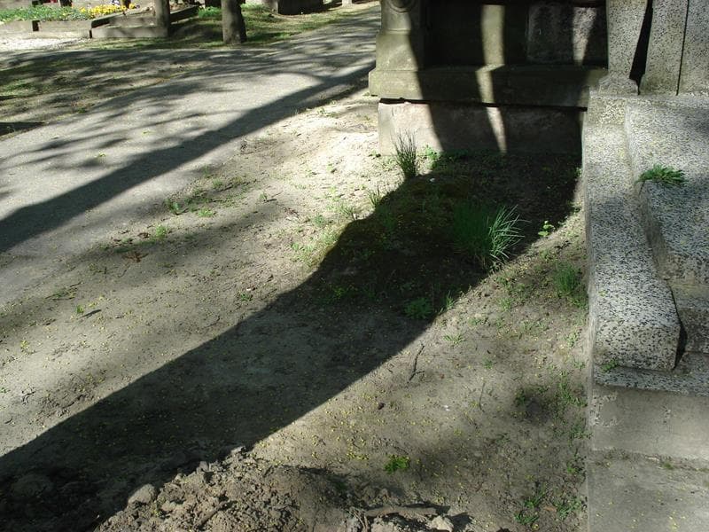 Zdjęcie grobu: Pole Grobowe