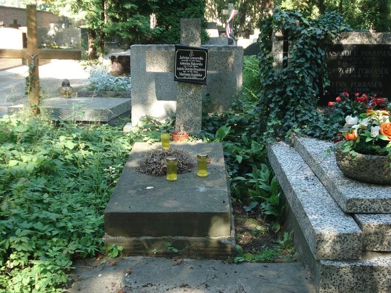 Zdjęcie grobu: Ludwik Bąkowski
