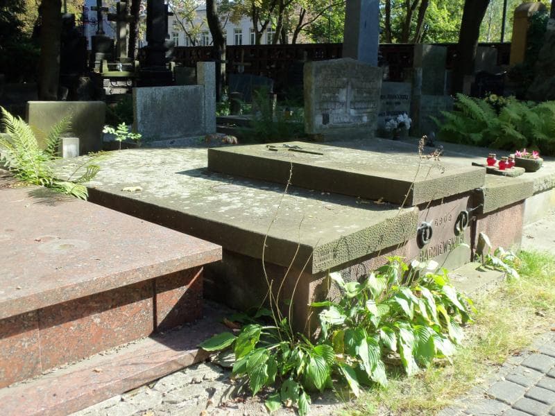 Zdjęcie grobu Eugenia Bauerowa (1)