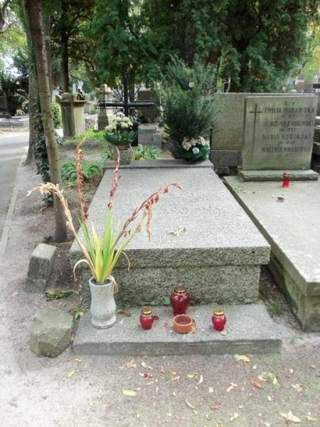 Zdjęcie grobu: Karol Ciok