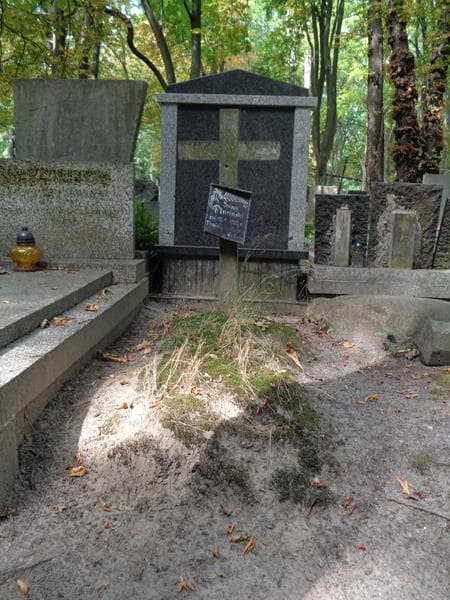Zdjęcie grobu Ignacy Pluciński (1)