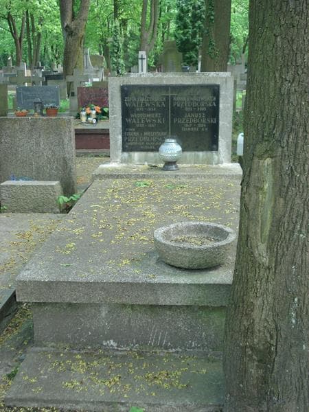 Zdjęcie grobu: Zofia Walewska