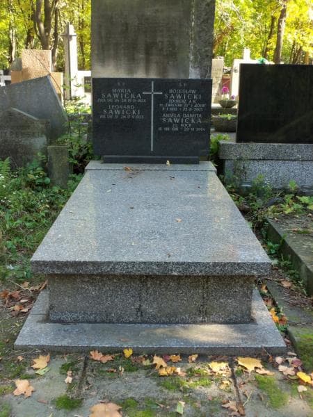 Zdjęcie grobu: Leonard Sawicki