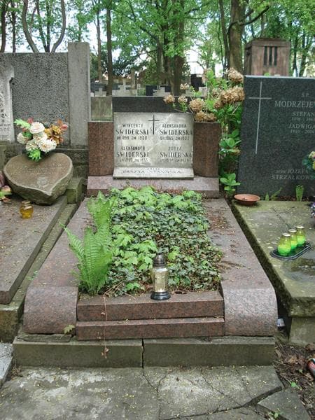 Zdjęcie grobu: Zofia Paszta - Stasińska