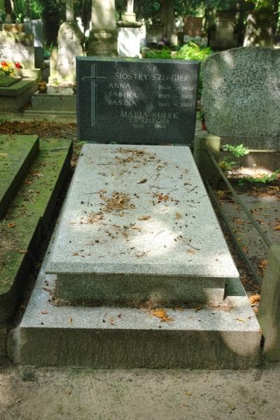 Zdjęcie grobu: Janina Szlegier