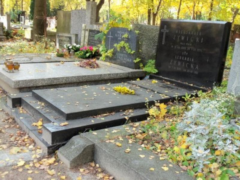 Zdjęcie grobu Aleksander Żywicki (1)