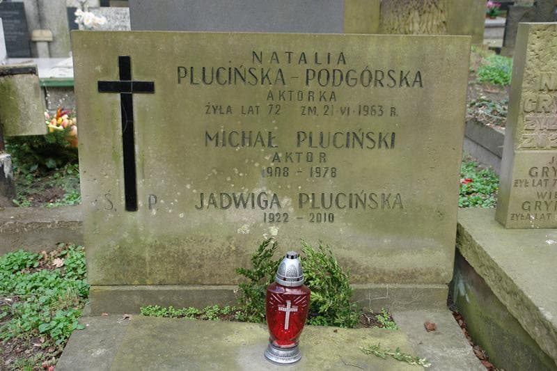 Zdjęcie grobu Michał Pluciński (1)